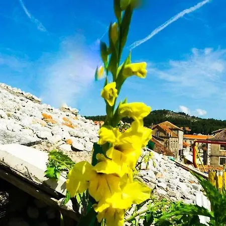 San Nikola Gostinjska kuća *